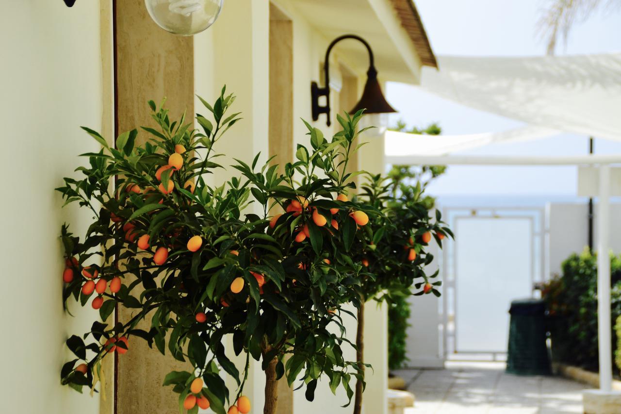 Caposud Residence And Beach Club イスピカ エクステリア 写真